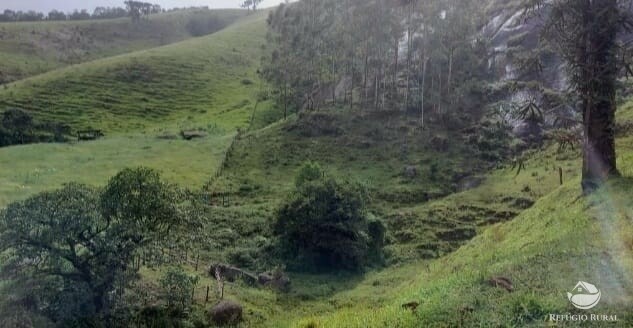 Terreno à venda, 121000m² - Foto 9