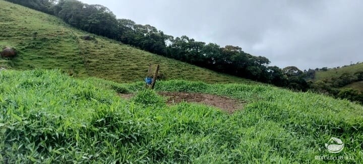 Terreno à venda, 121000m² - Foto 17