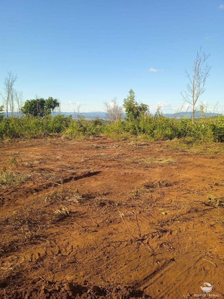 Fazenda à venda com 1 quarto, 15342800m² - Foto 2