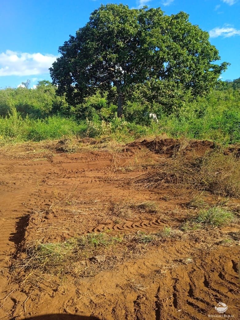 Fazenda à venda com 1 quarto, 15342800m² - Foto 1