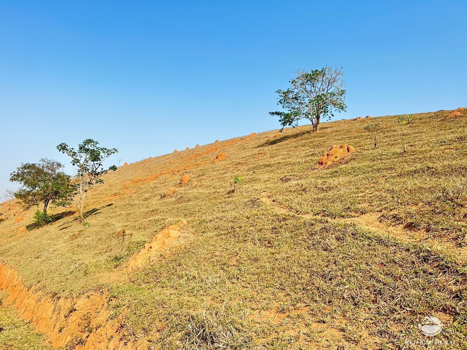 Fazenda à venda com 1 quarto, 121000m² - Foto 36