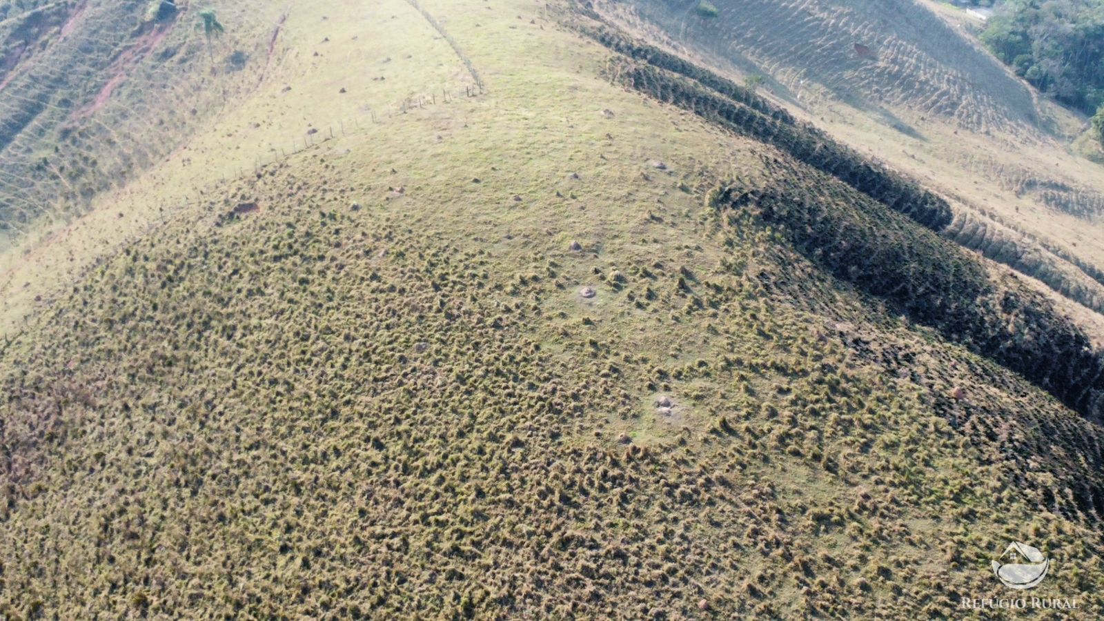 Fazenda à venda com 1 quarto, 121000m² - Foto 20