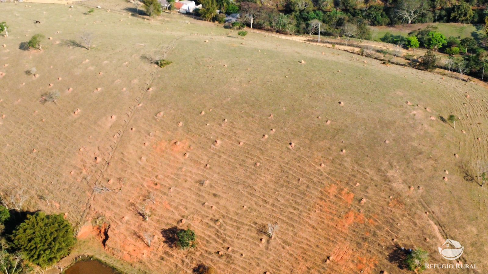 Fazenda à venda com 1 quarto, 121000m² - Foto 14