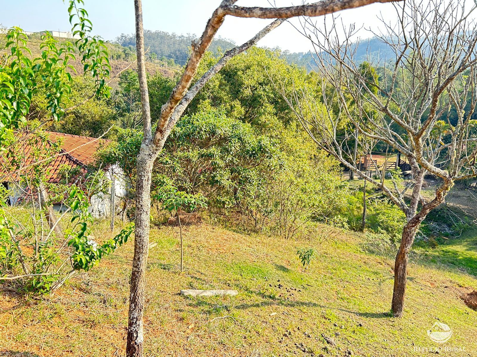 Fazenda à venda com 1 quarto, 121000m² - Foto 8