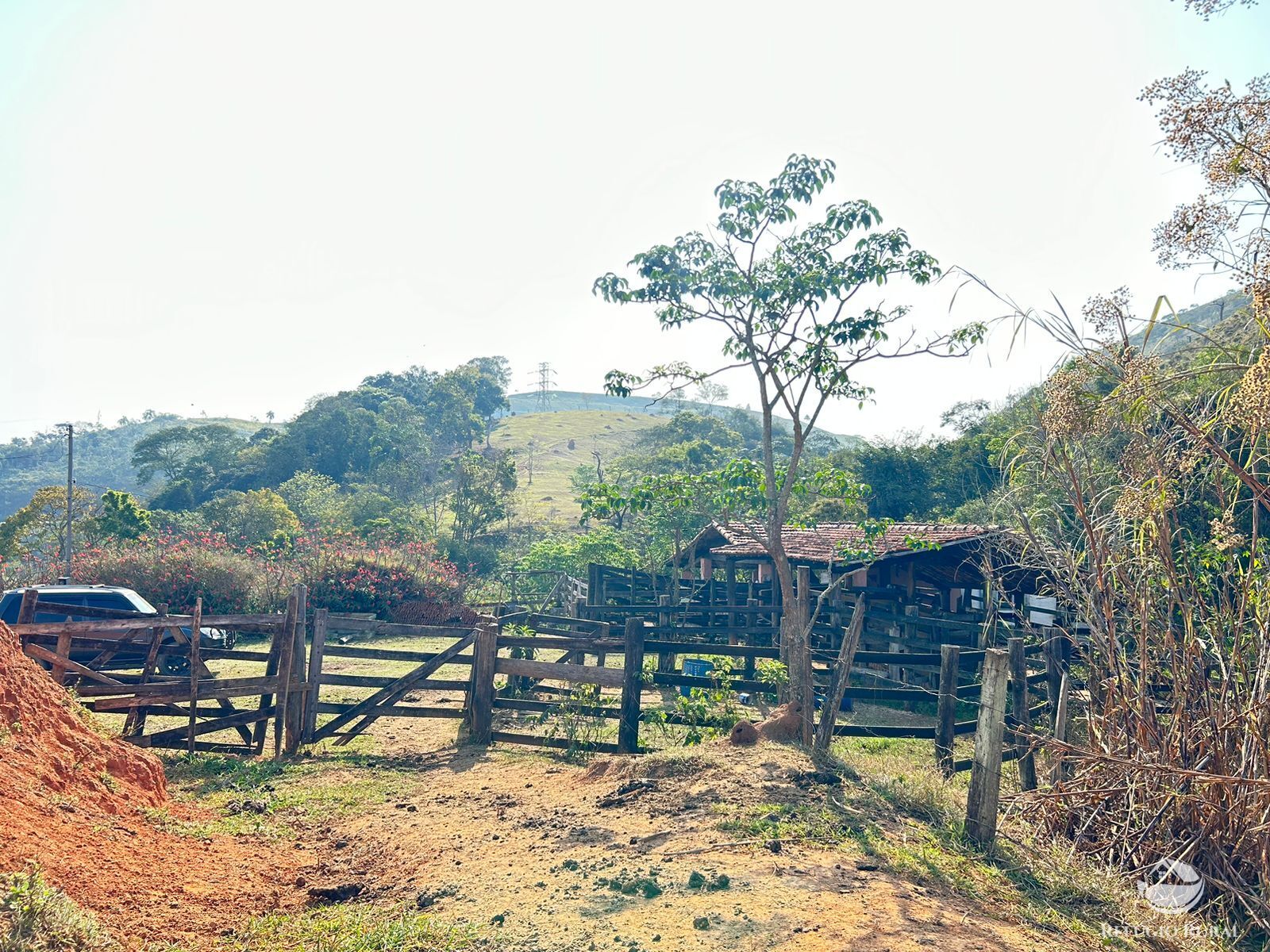 Fazenda à venda com 1 quarto, 121000m² - Foto 37