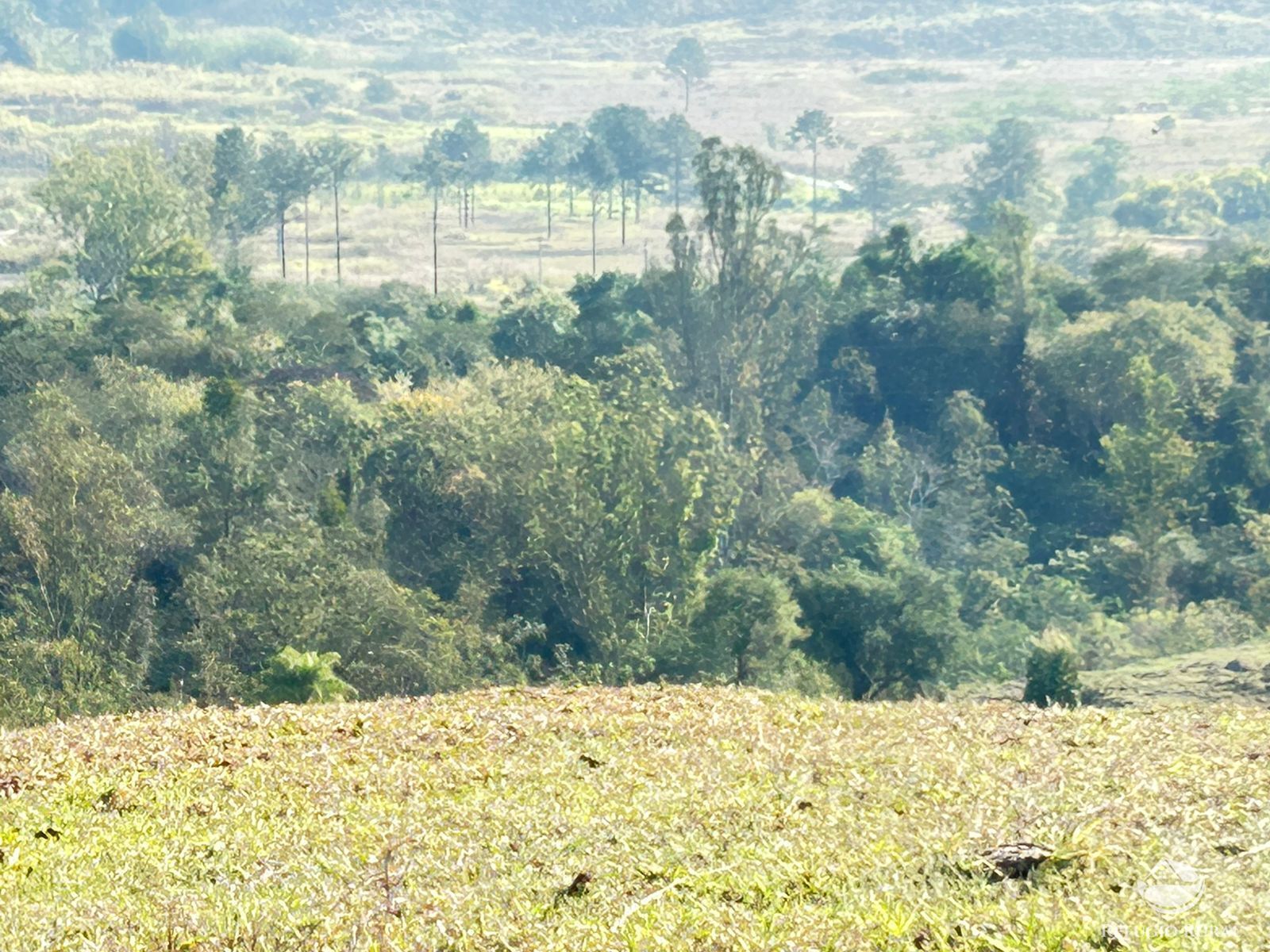 Fazenda à venda com 1 quarto, 121000m² - Foto 45