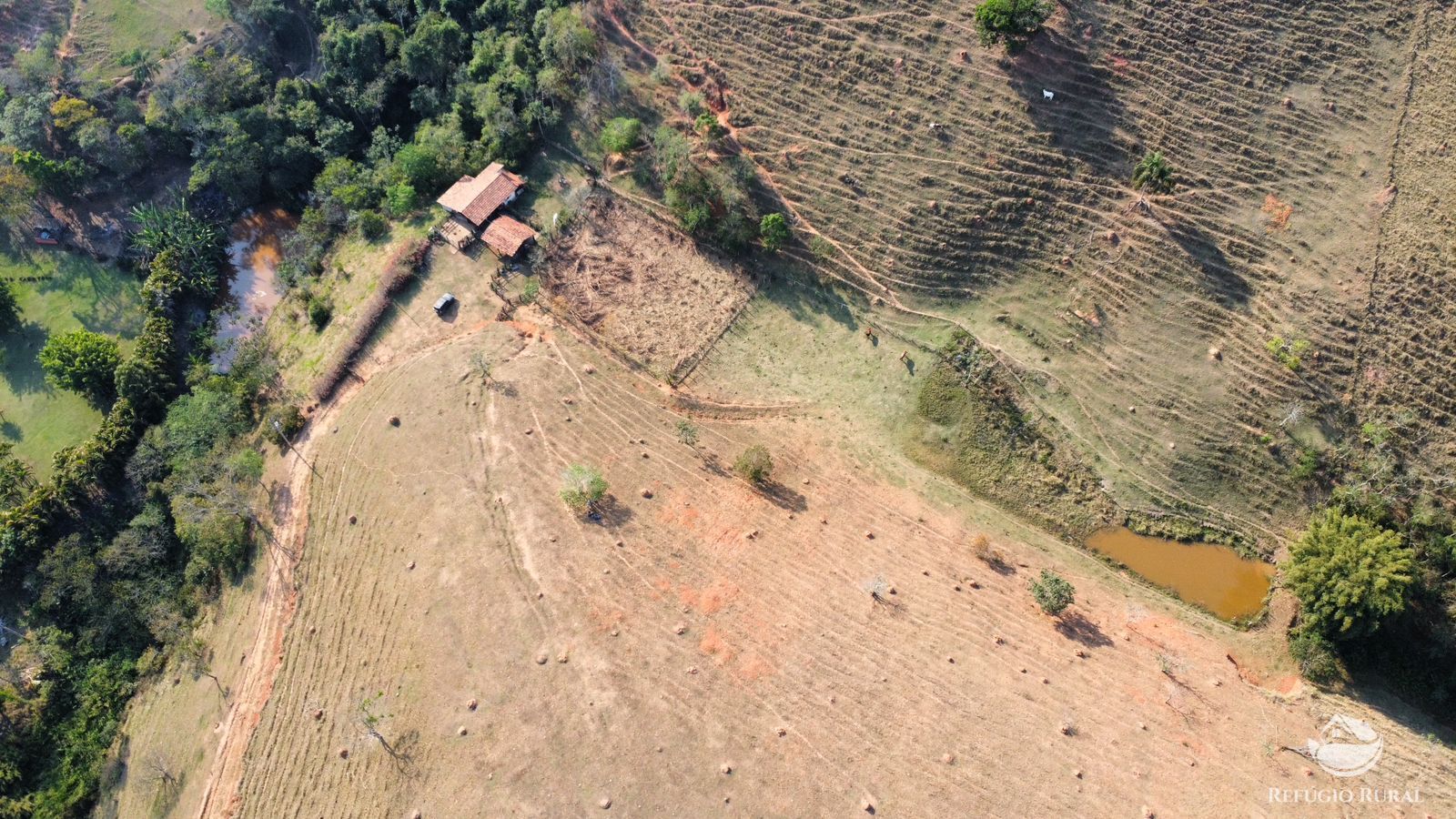 Fazenda à venda com 1 quarto, 121000m² - Foto 1