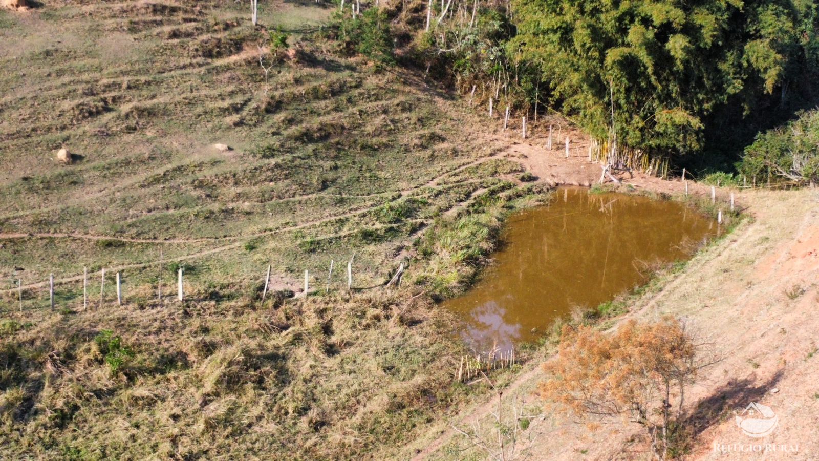 Fazenda à venda com 1 quarto, 121000m² - Foto 12