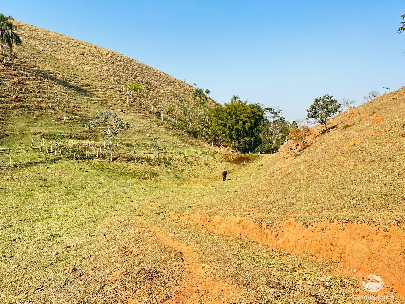 Fazenda à venda com 1 quarto, 121000m² - Foto 39