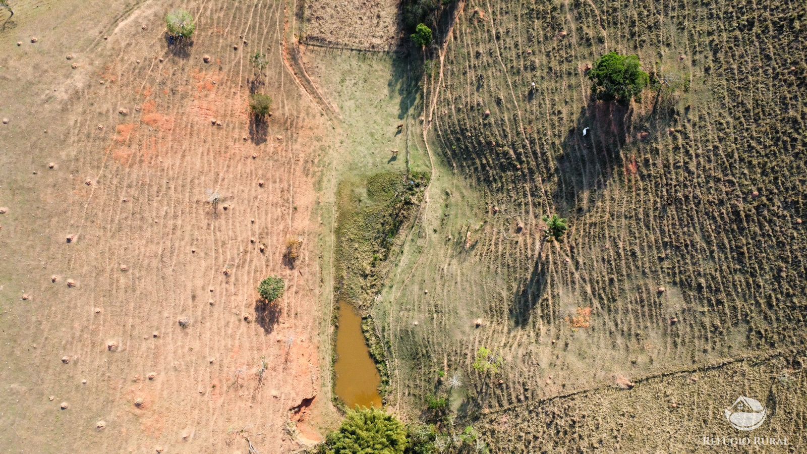 Fazenda à venda com 1 quarto, 121000m² - Foto 28