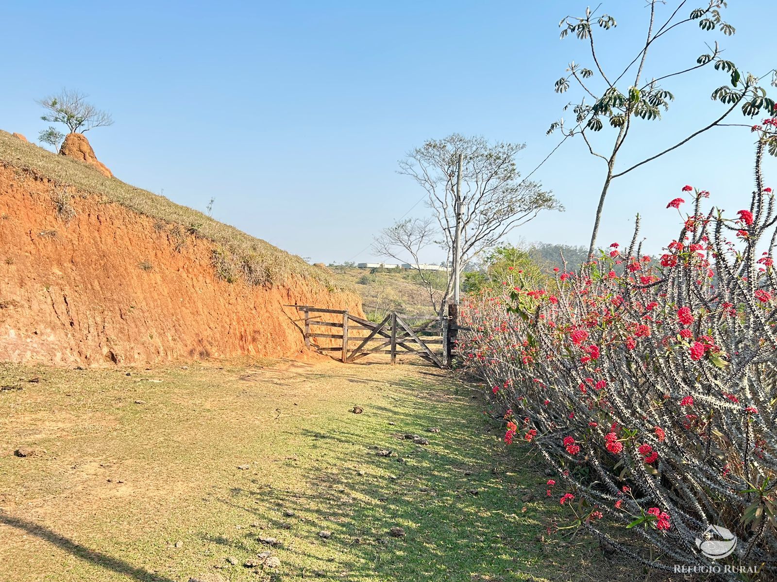 Fazenda à venda com 1 quarto, 121000m² - Foto 41