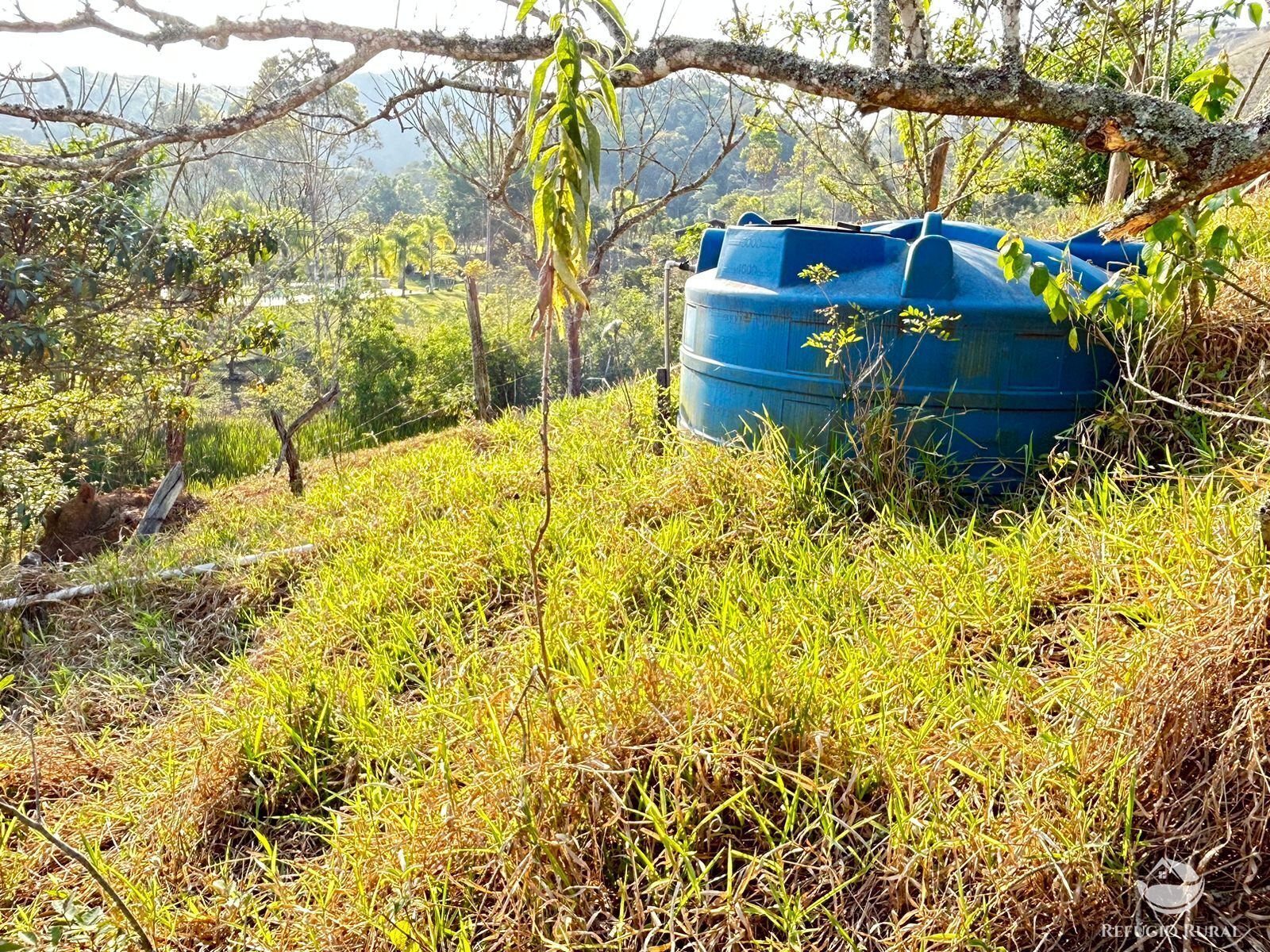 Fazenda à venda com 1 quarto, 121000m² - Foto 7