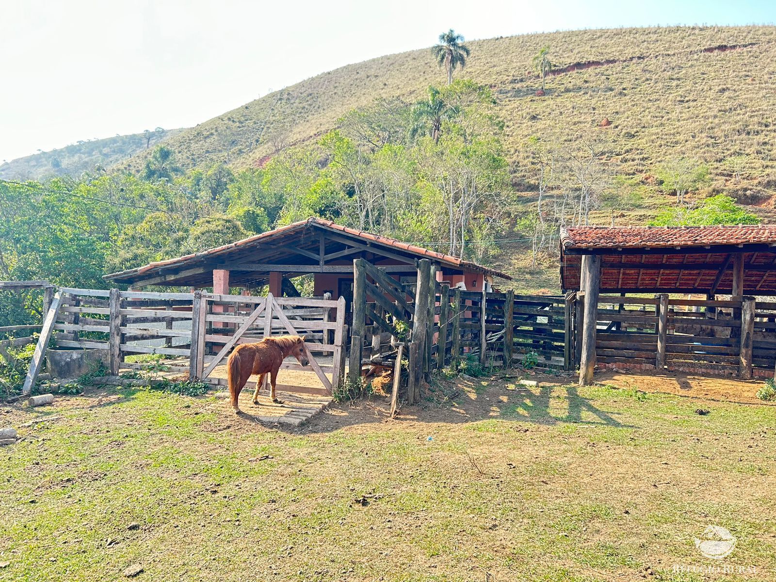 Fazenda à venda com 1 quarto, 121000m² - Foto 40