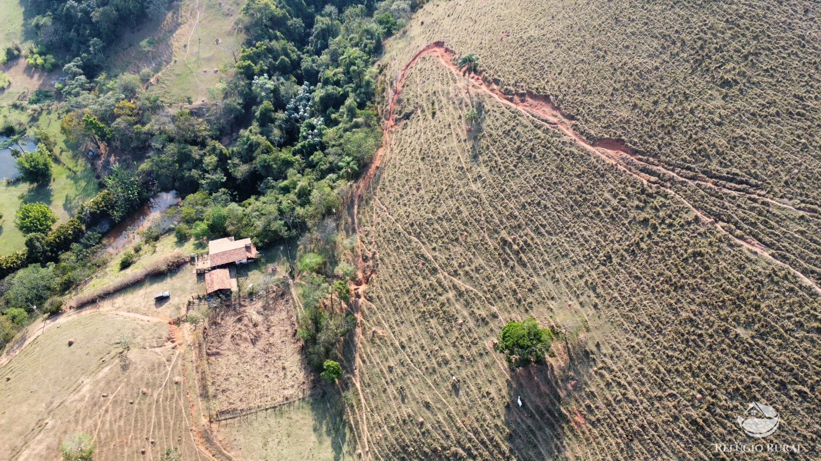 Fazenda à venda com 1 quarto, 121000m² - Foto 29