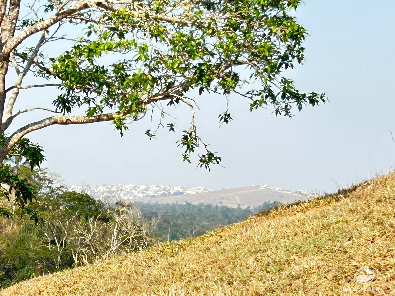 Fazenda à venda com 1 quarto, 121000m² - Foto 35