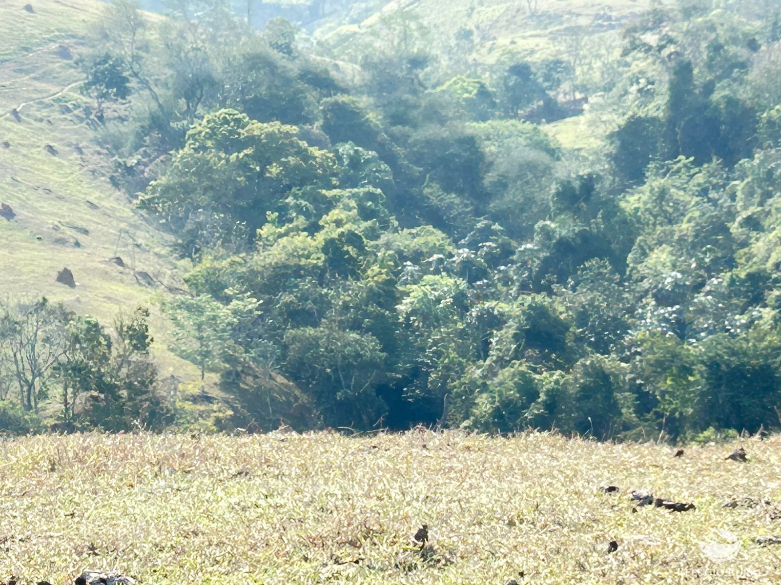 Fazenda à venda com 1 quarto, 121000m² - Foto 42