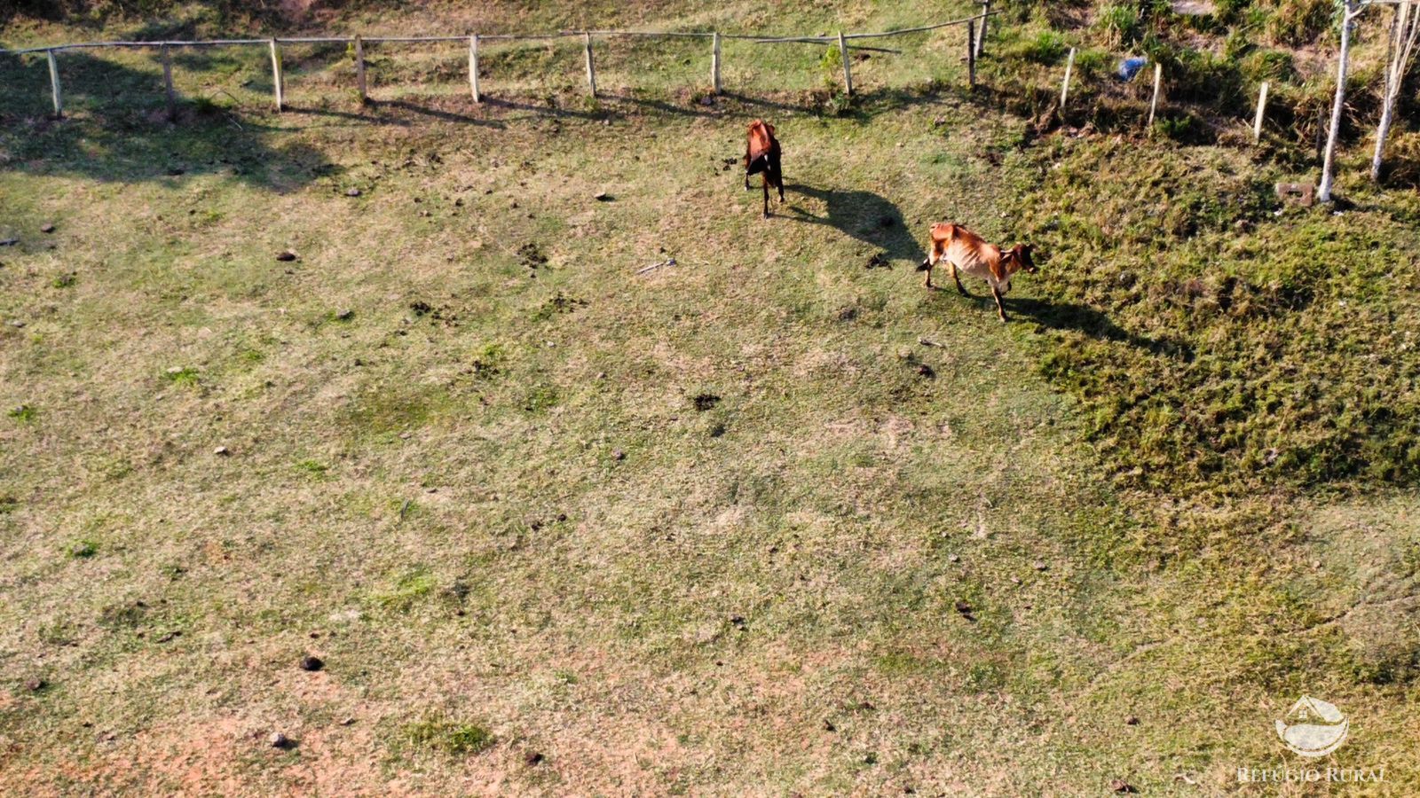 Fazenda à venda com 1 quarto, 121000m² - Foto 11