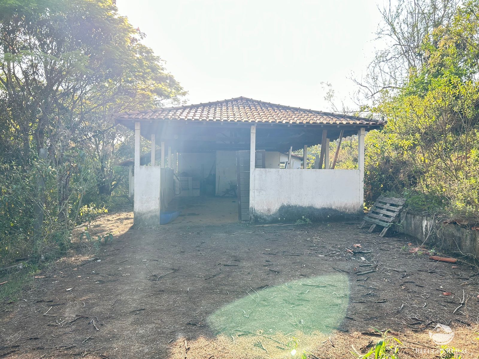 Fazenda à venda com 1 quarto, 121000m² - Foto 9