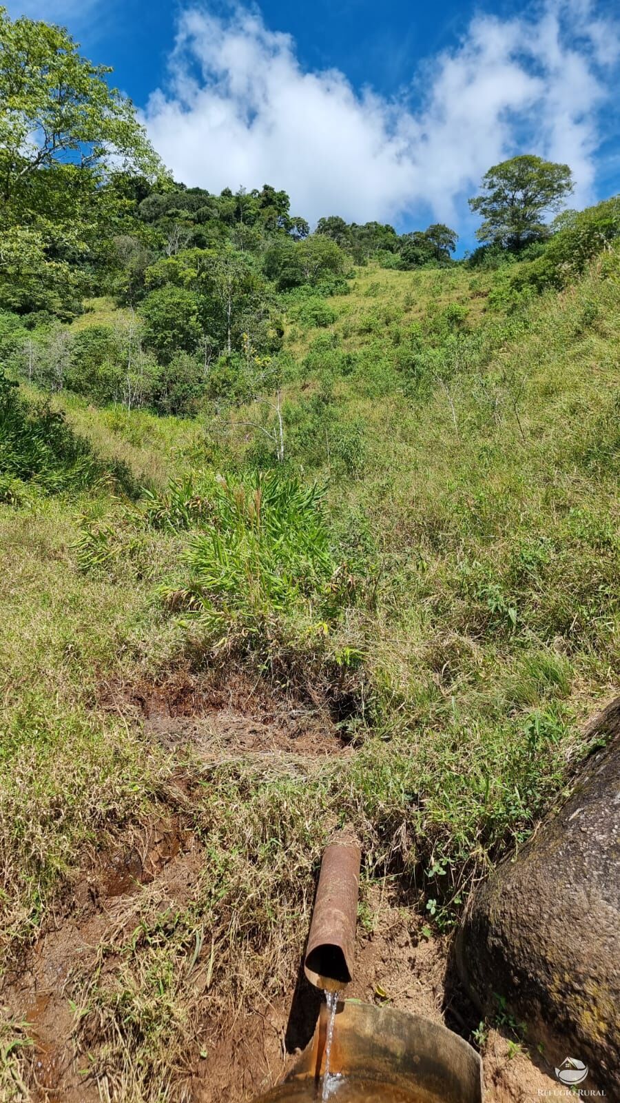 Terreno à venda, 48200m² - Foto 4