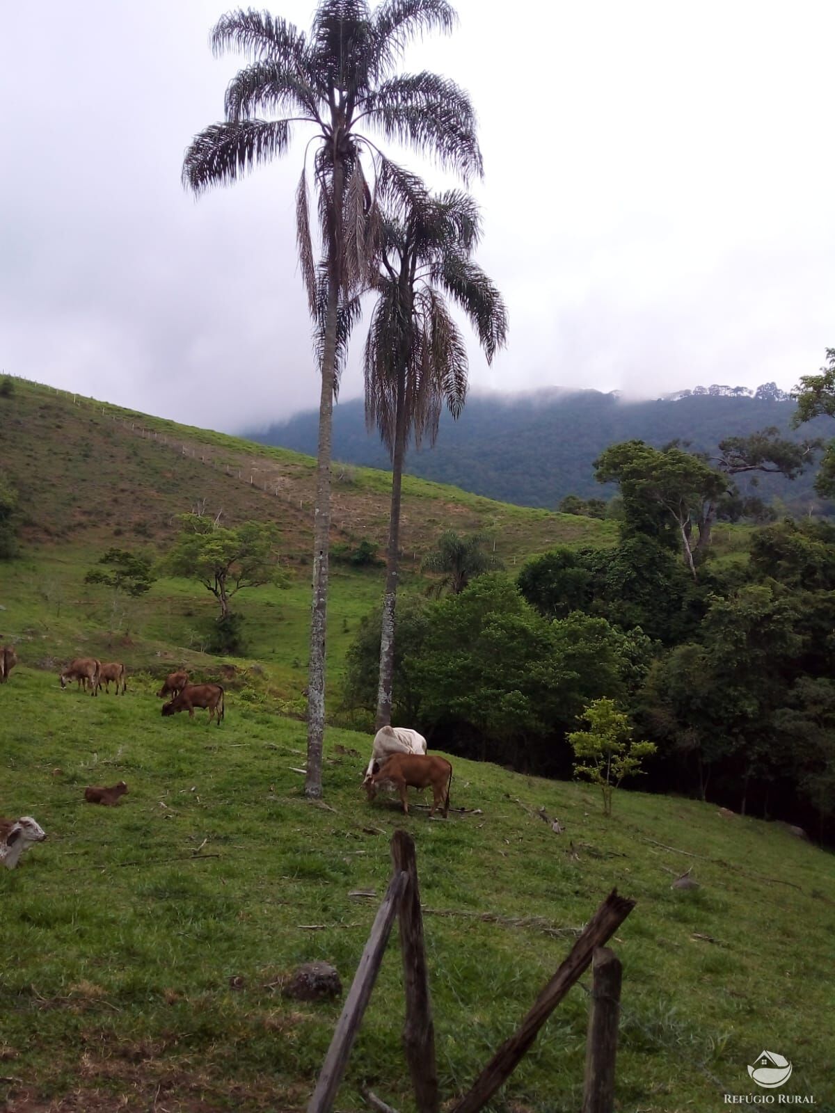 Terreno à venda, 48200m² - Foto 26