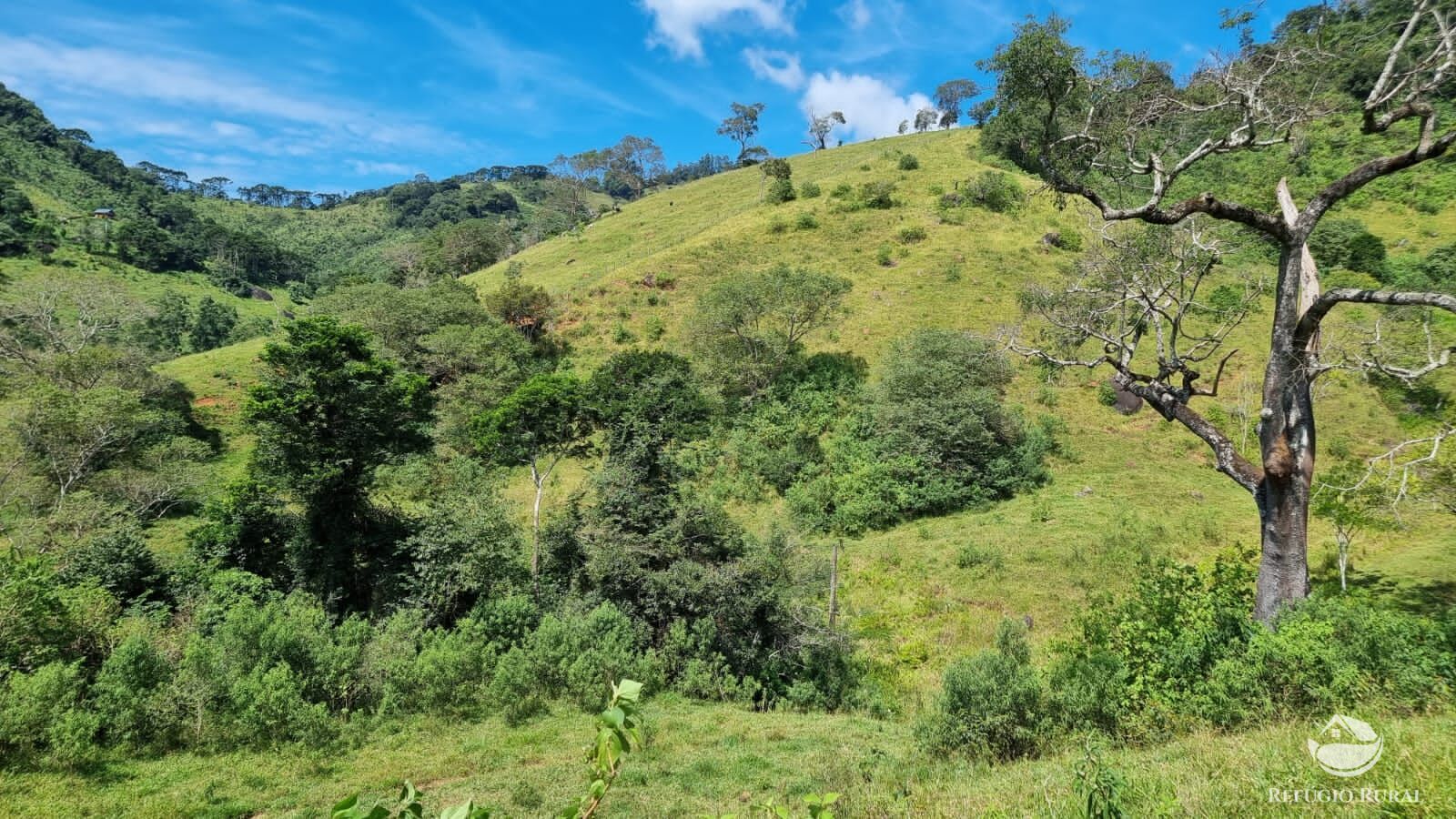 Terreno à venda, 48200m² - Foto 8