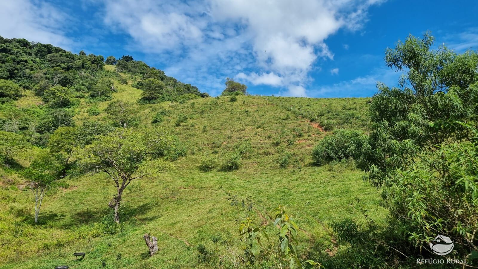 Terreno à venda, 48200m² - Foto 30