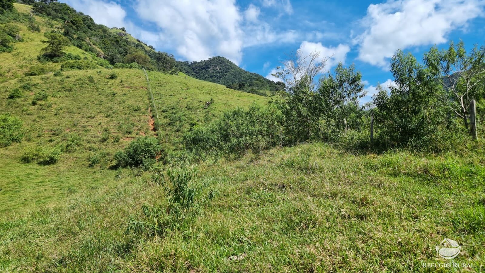 Terreno à venda, 48200m² - Foto 11