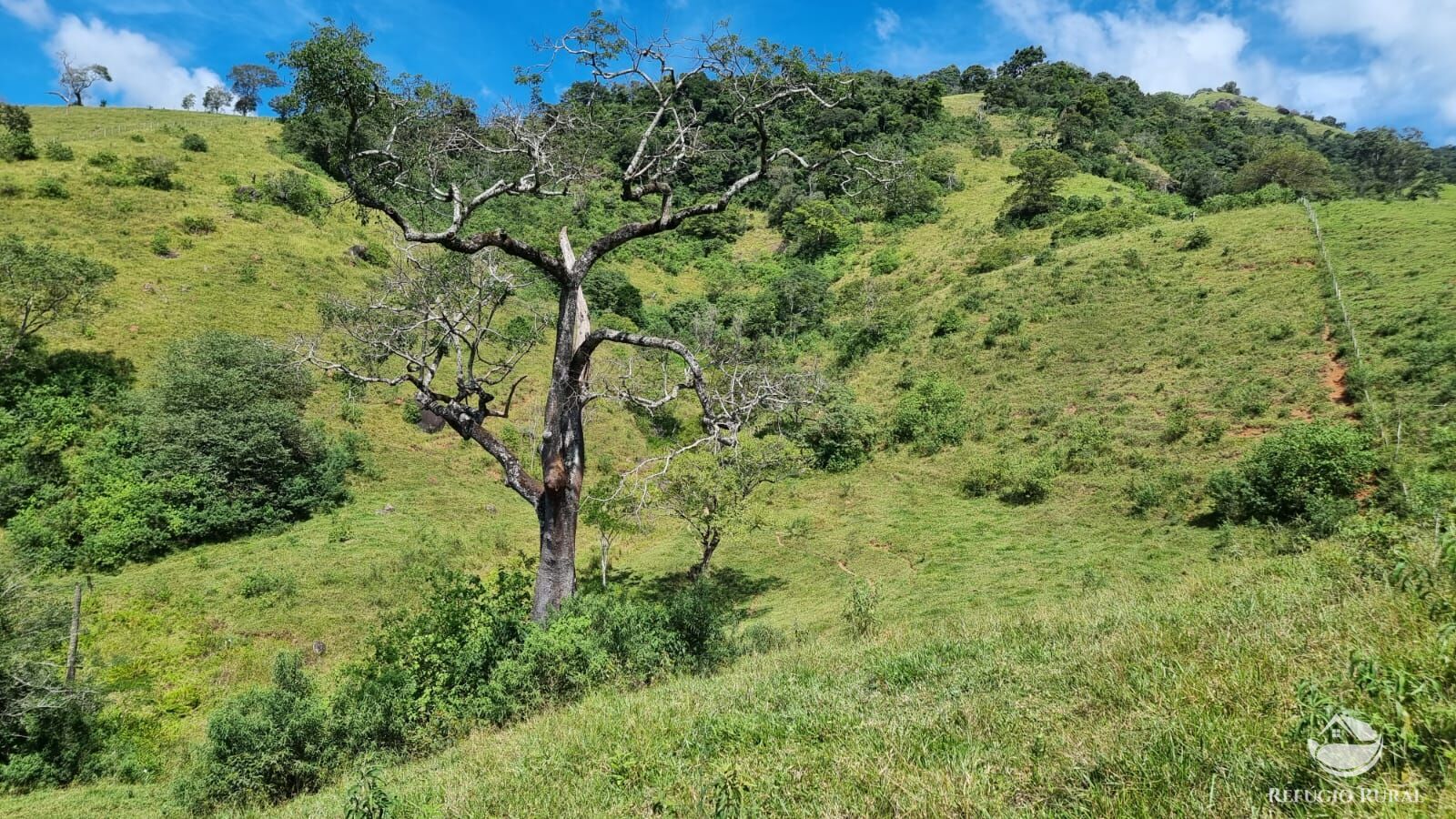 Terreno à venda, 48200m² - Foto 12