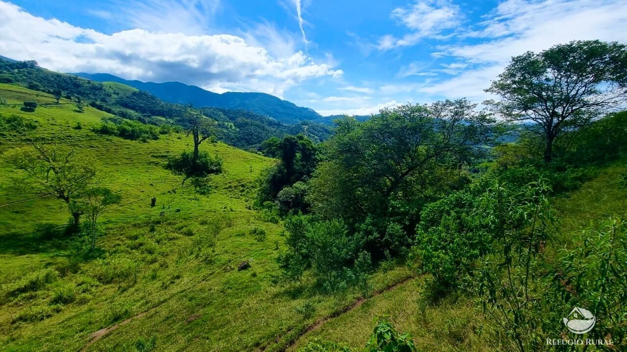 Terreno à venda, 48200m² - Foto 1