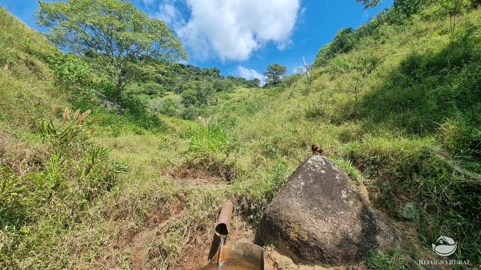 Terreno à venda, 48200m² - Foto 25