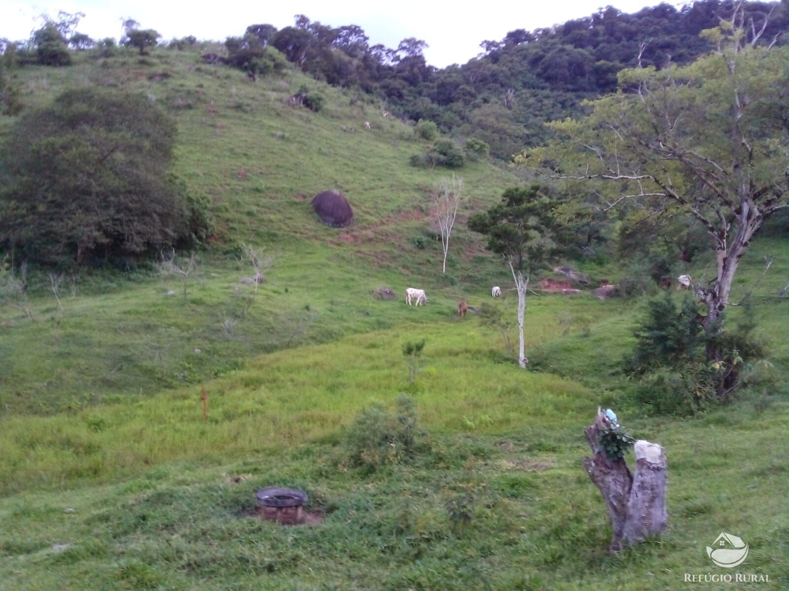 Terreno à venda, 48200m² - Foto 32
