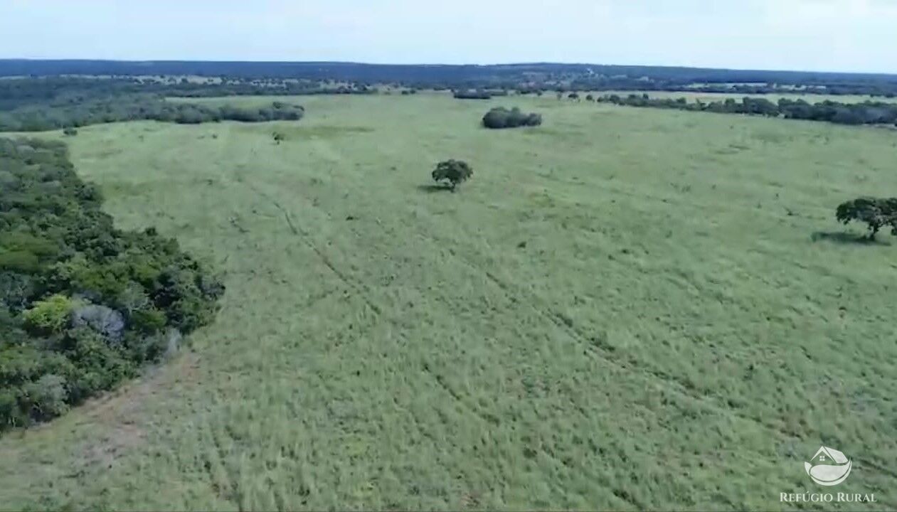 Fazenda à venda com 2 quartos, 18150000m² - Foto 5