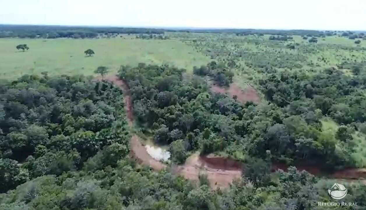 Fazenda à venda com 2 quartos, 18150000m² - Foto 3