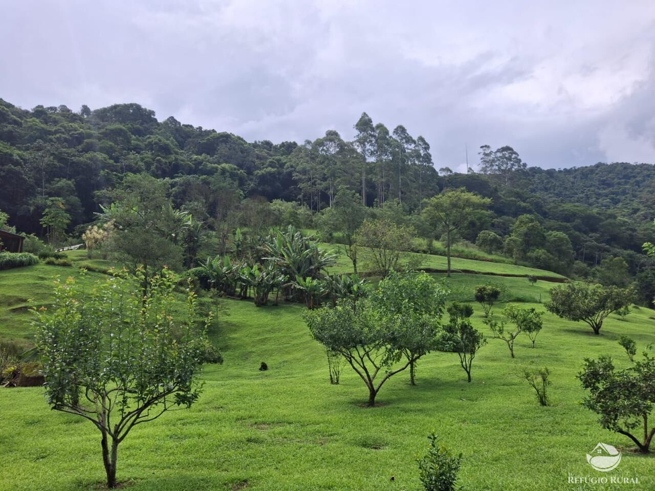 Sítio à venda com 6 quartos, 66205m² - Foto 39