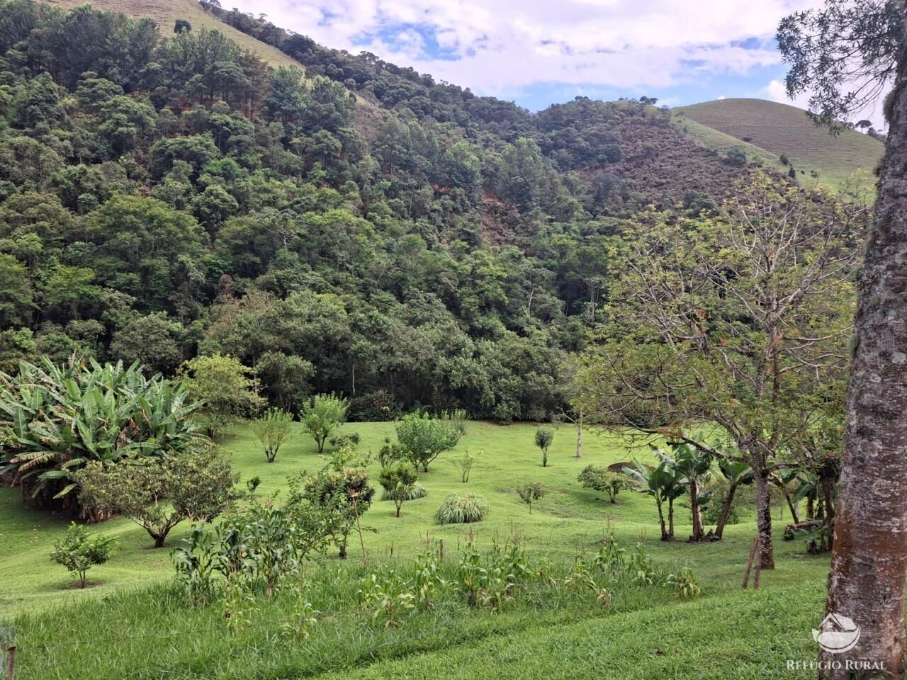 Sítio à venda com 6 quartos, 66205m² - Foto 25