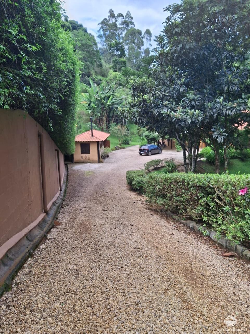 Sítio à venda com 6 quartos, 66205m² - Foto 36