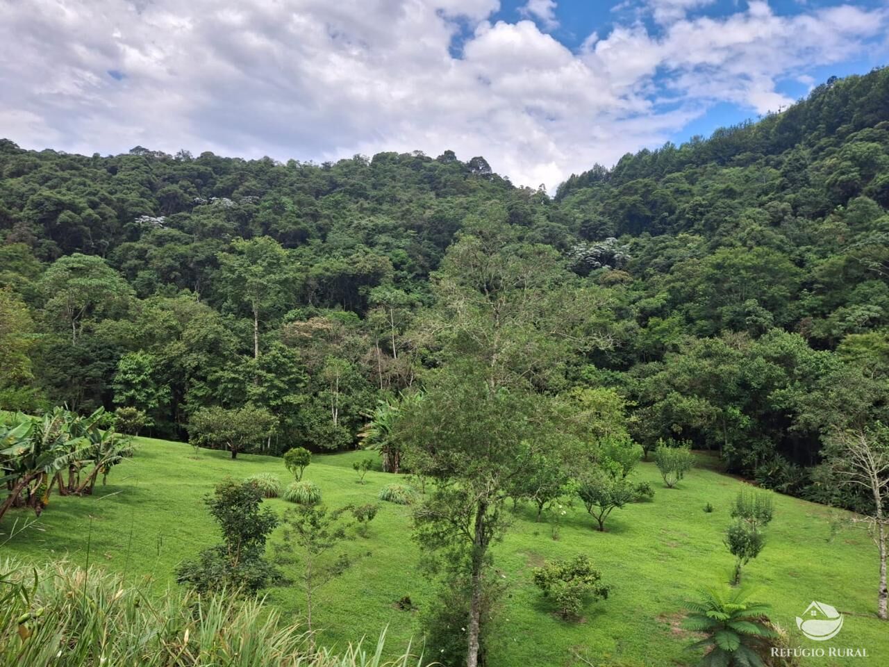 Sítio à venda com 6 quartos, 66205m² - Foto 26