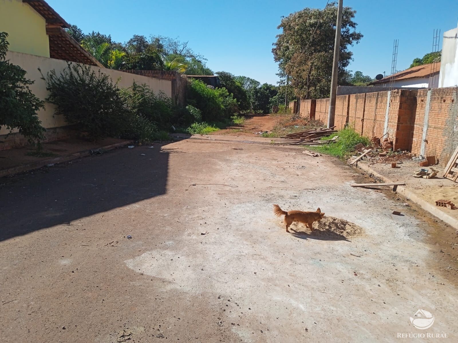 Fazenda à venda com 1 quarto, 40000m² - Foto 4