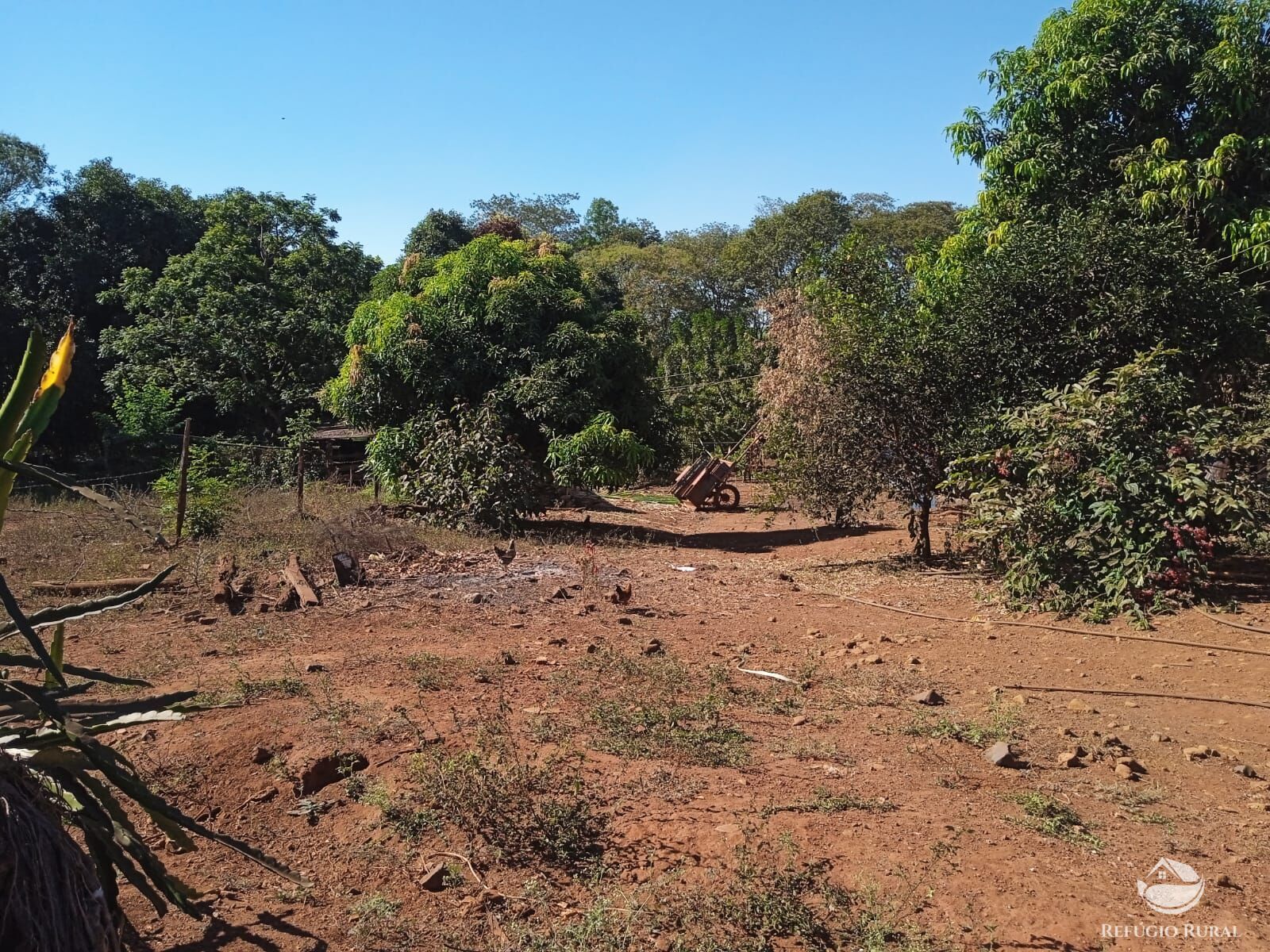 Fazenda à venda com 1 quarto, 40000m² - Foto 10