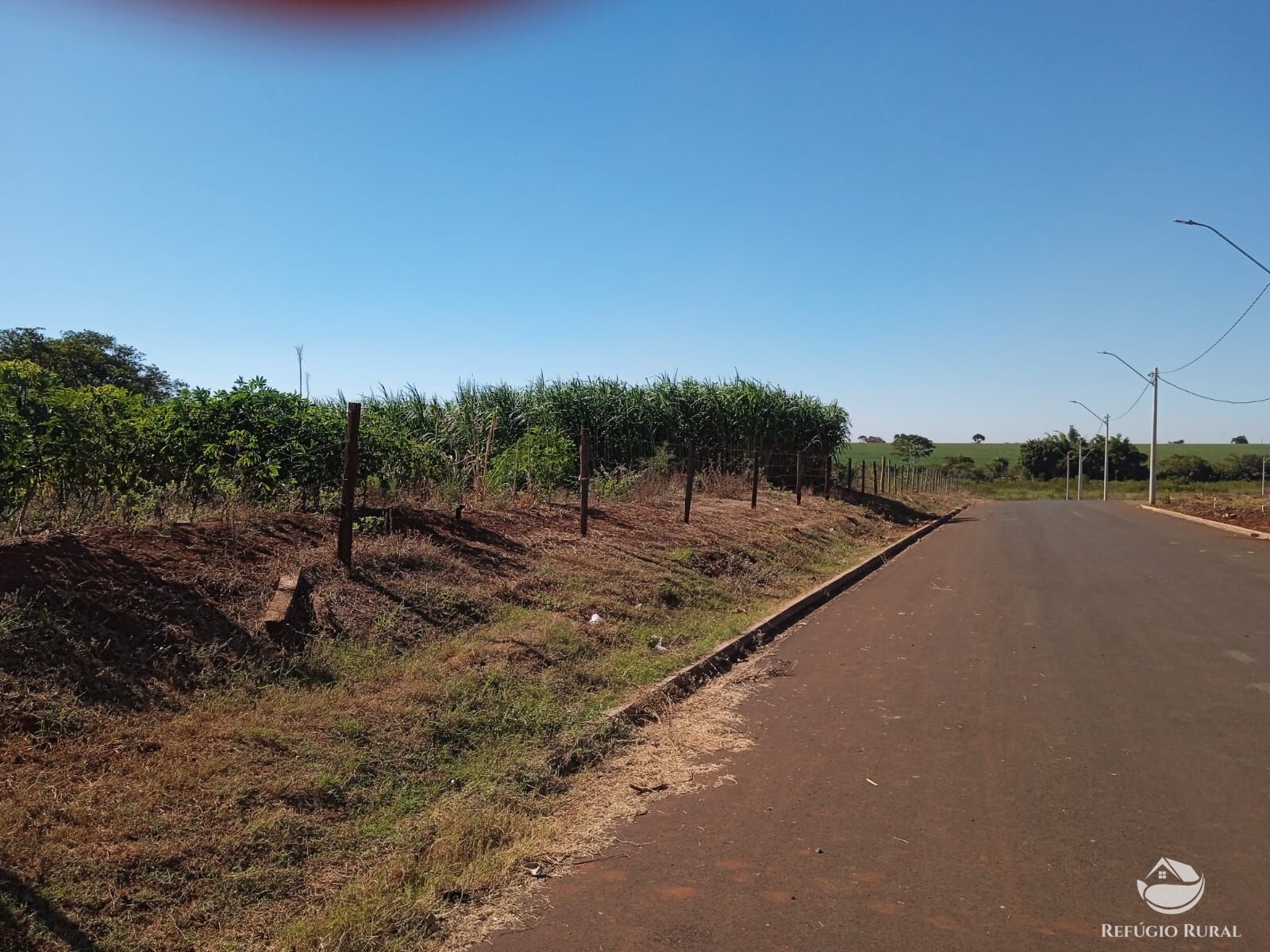 Fazenda à venda com 1 quarto, 40000m² - Foto 5