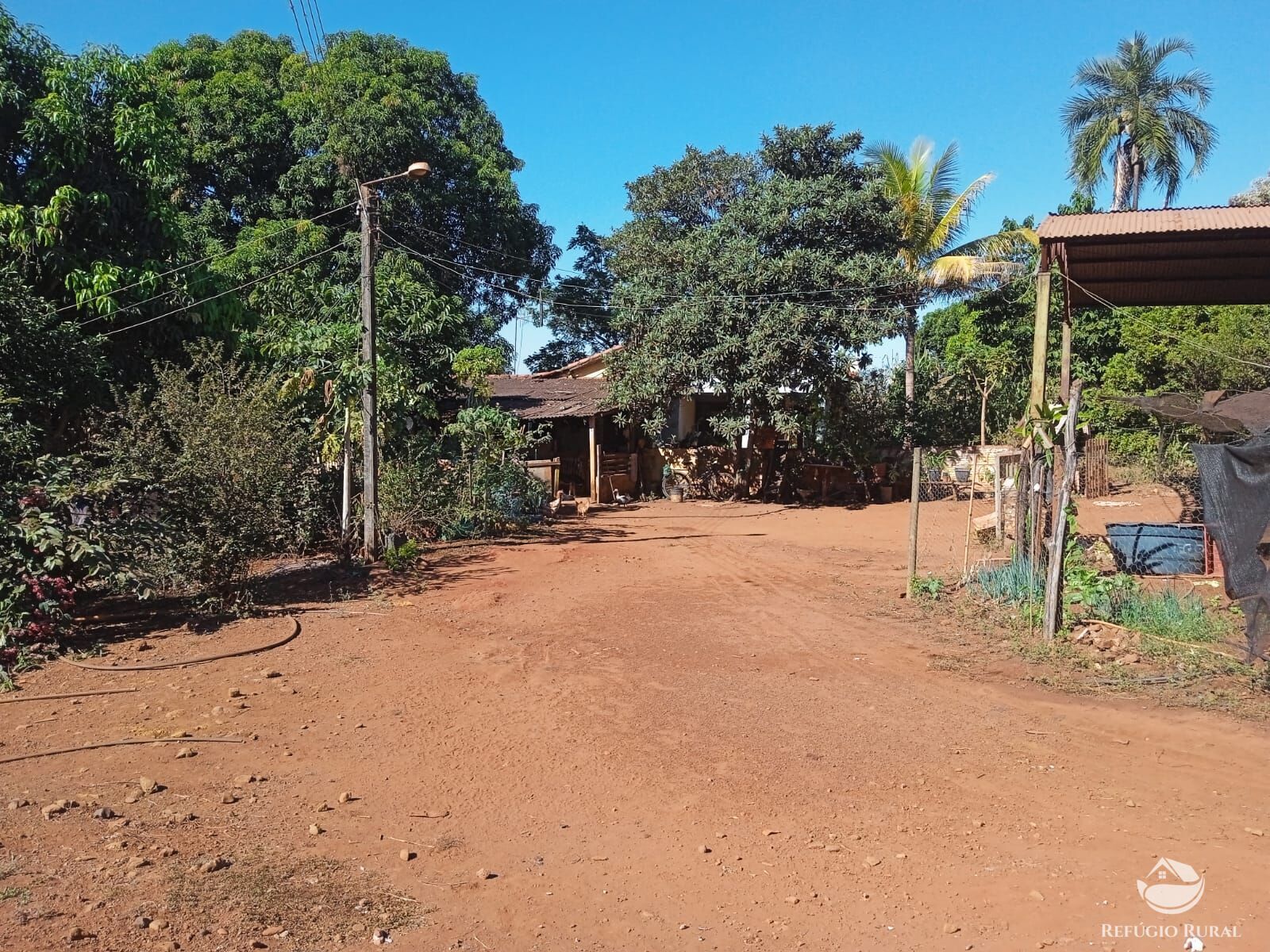 Fazenda à venda com 1 quarto, 40000m² - Foto 8