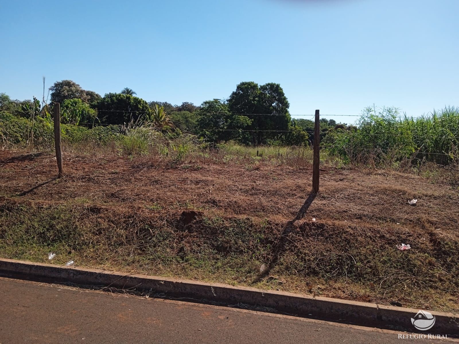 Fazenda à venda com 1 quarto, 40000m² - Foto 3