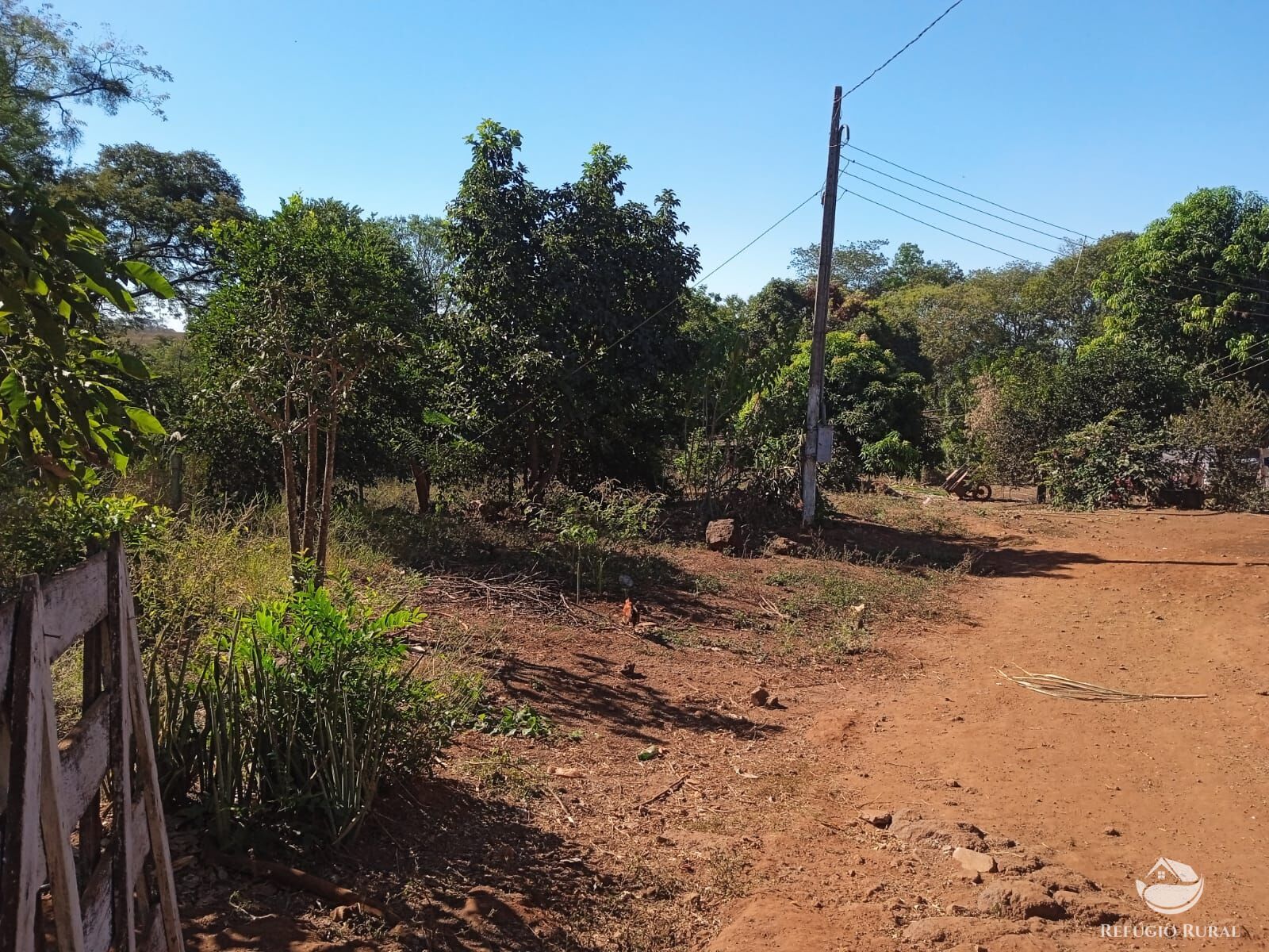 Fazenda à venda com 1 quarto, 40000m² - Foto 7