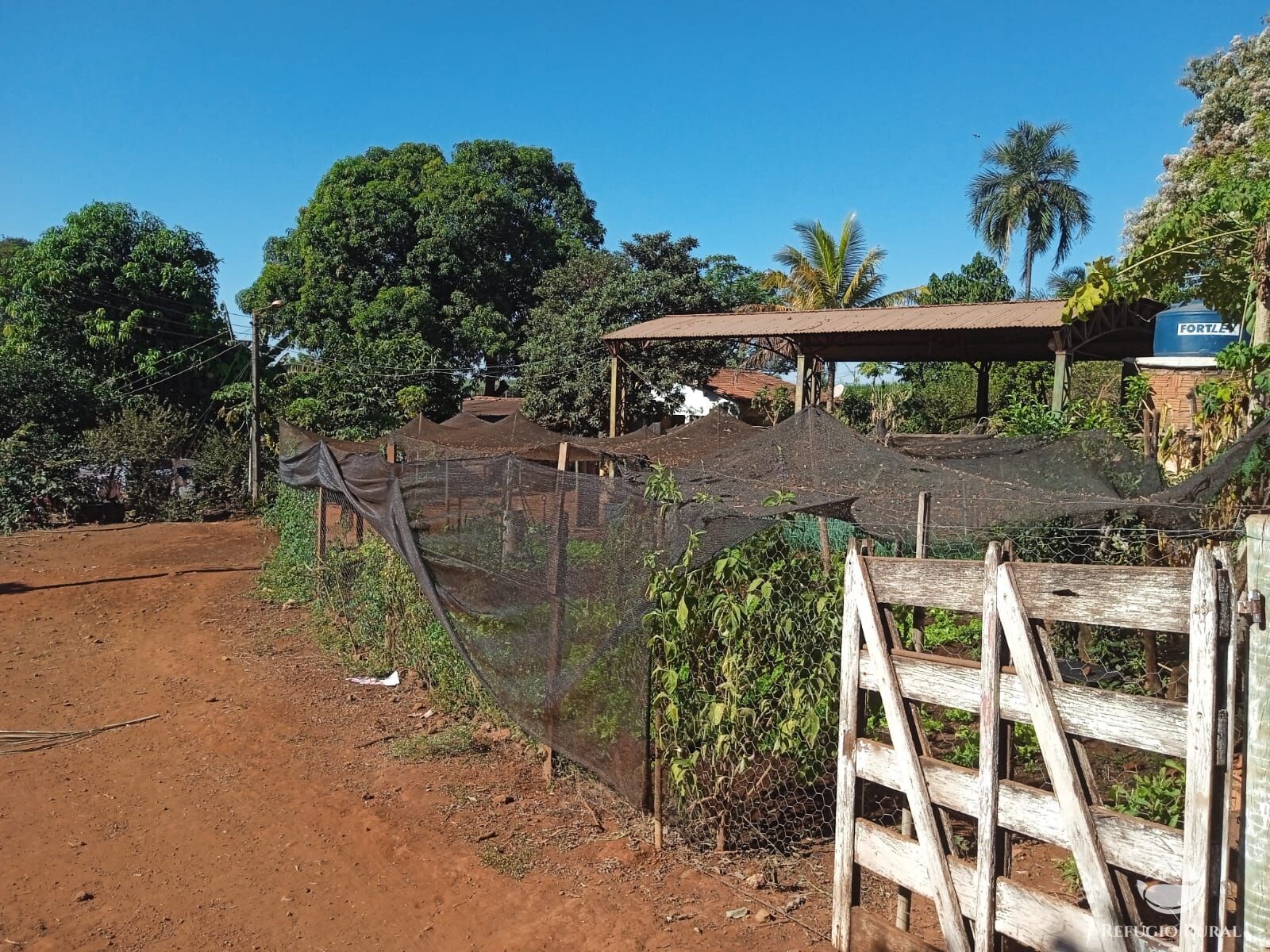 Fazenda à venda com 1 quarto, 40000m² - Foto 2