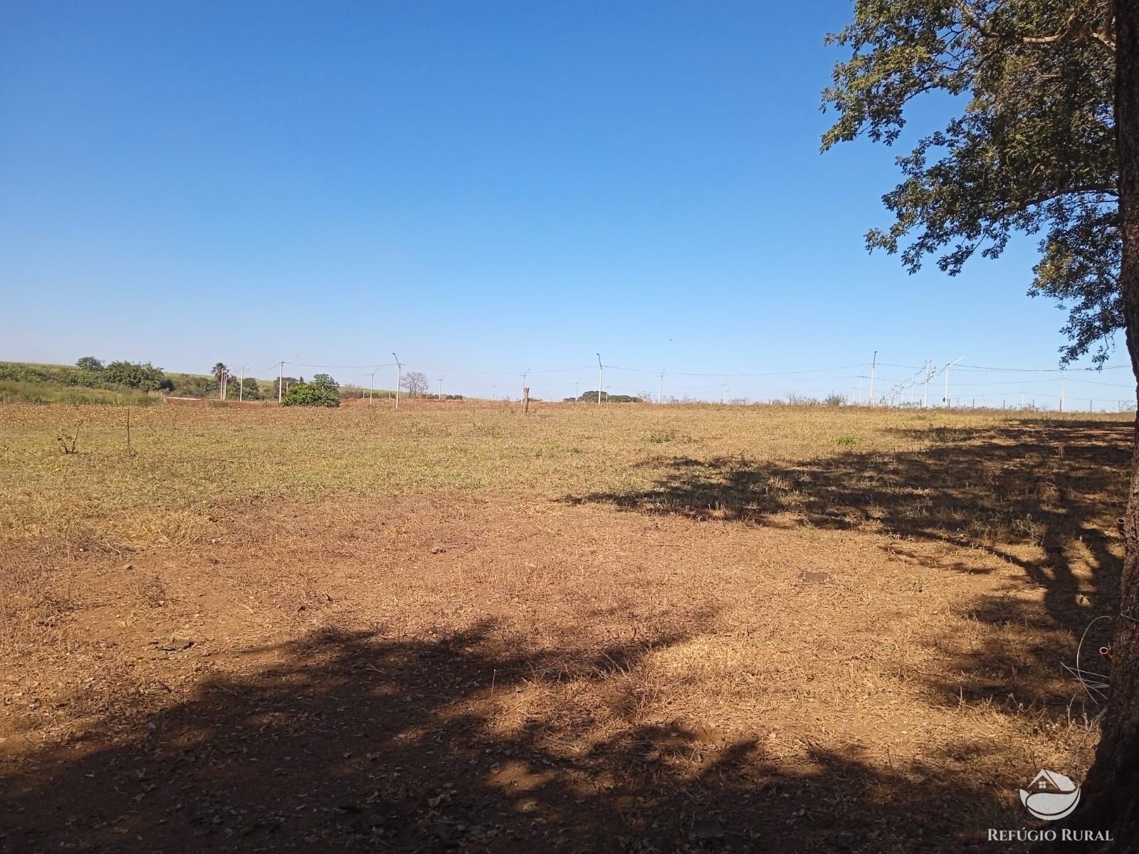 Fazenda à venda com 1 quarto, 40000m² - Foto 6