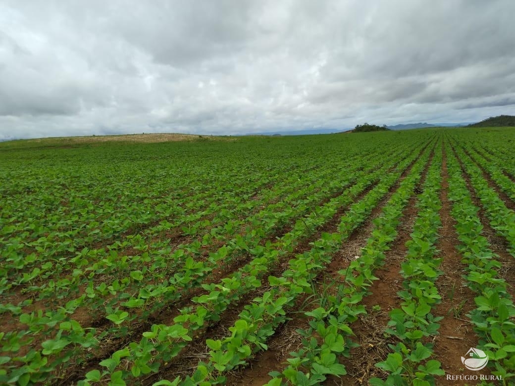 Fazenda à venda com 1 quarto, 18972800m² - Foto 2