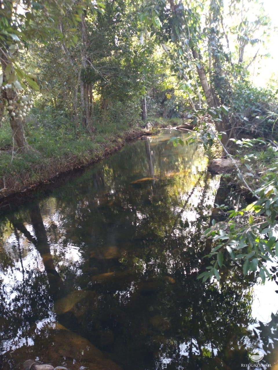 Fazenda à venda com 1 quarto, 18972800m² - Foto 5