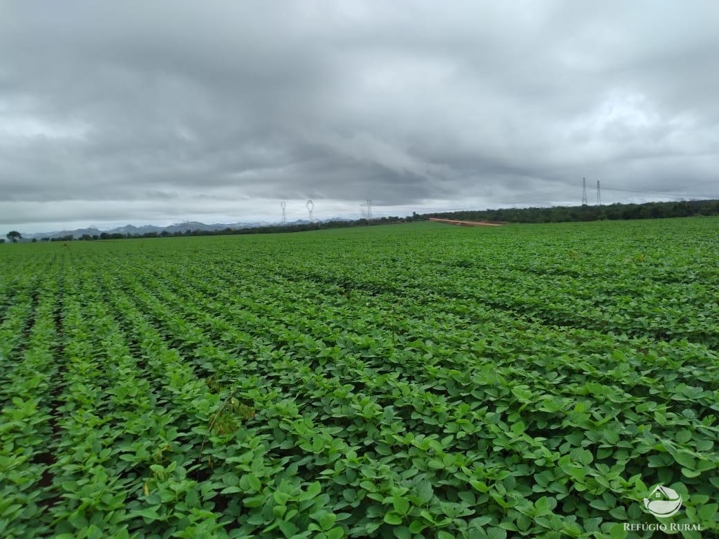 Fazenda à venda com 1 quarto, 18972800m² - Foto 14