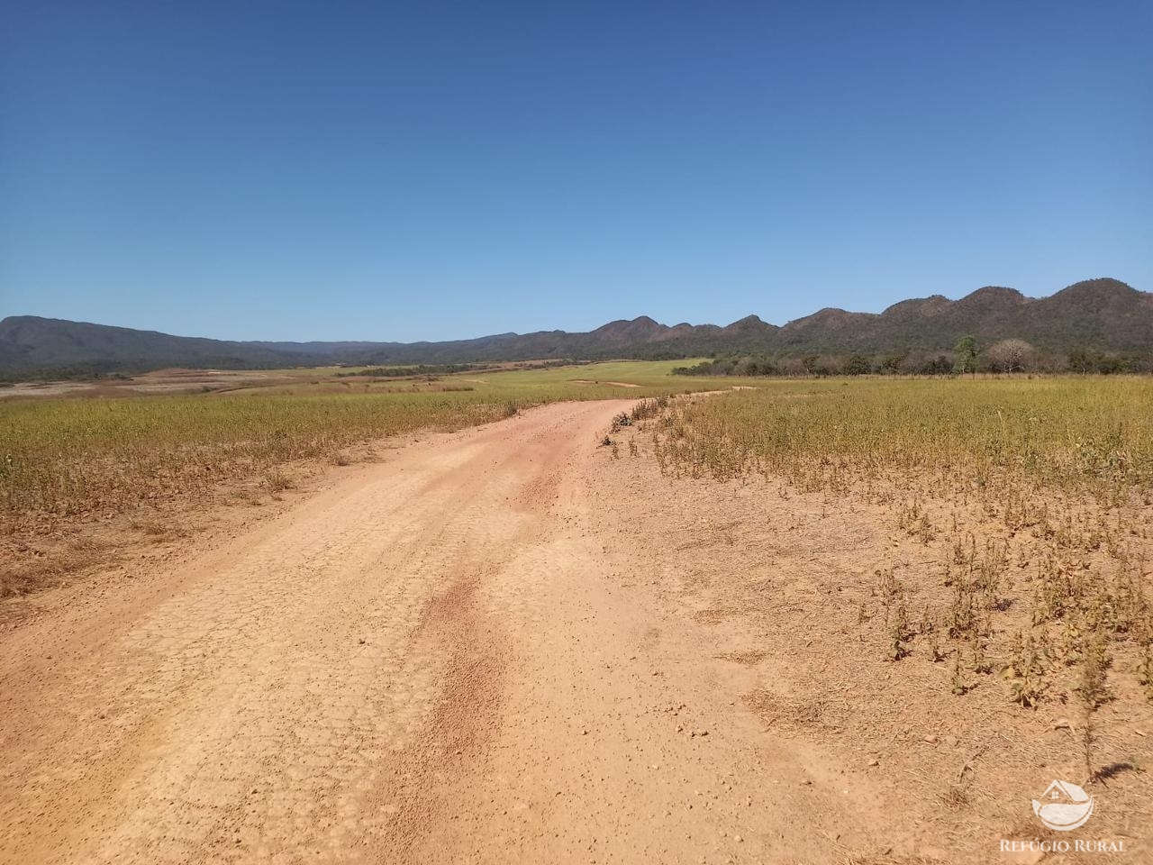 Fazenda à venda com 1 quarto, 18972800m² - Foto 6