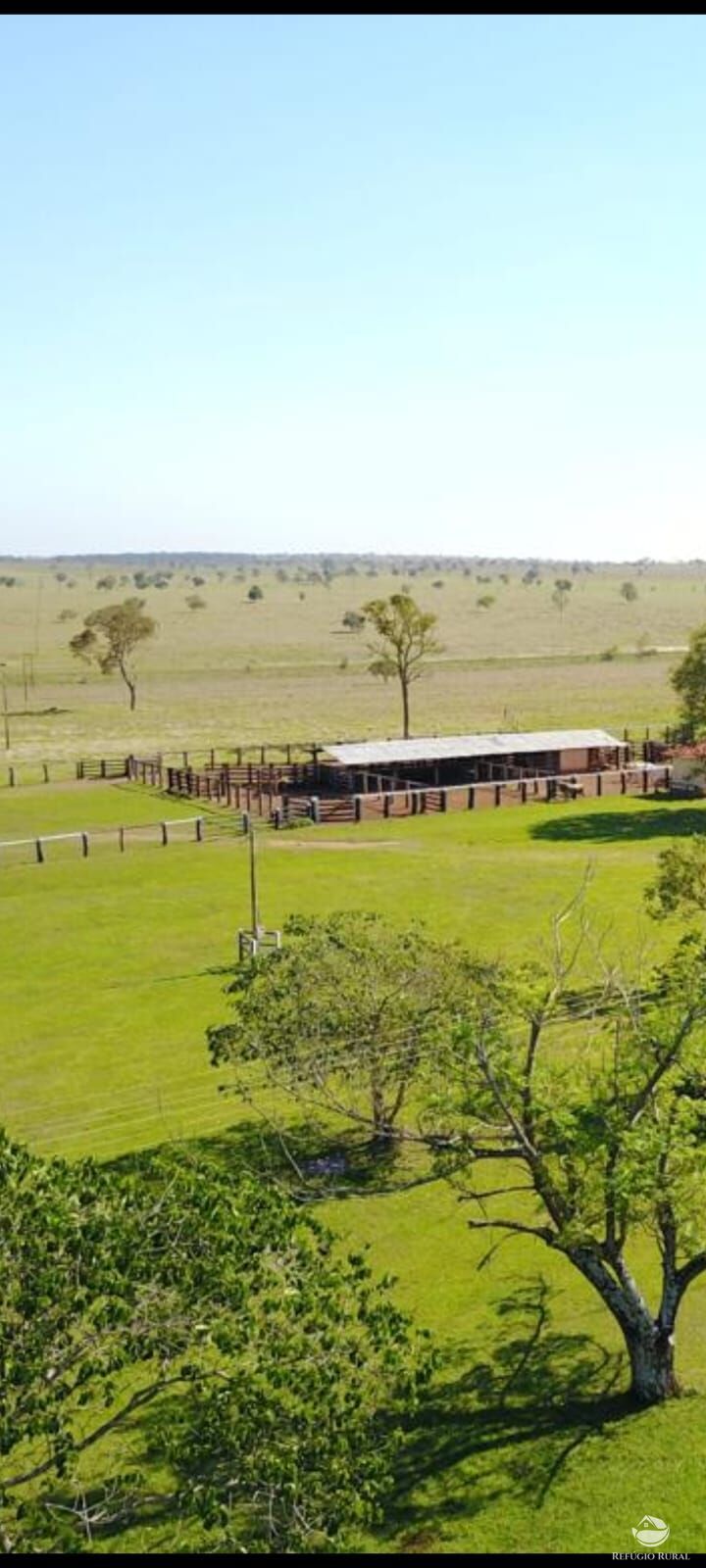 Fazenda à venda com 1 quarto, 24200000m² - Foto 2